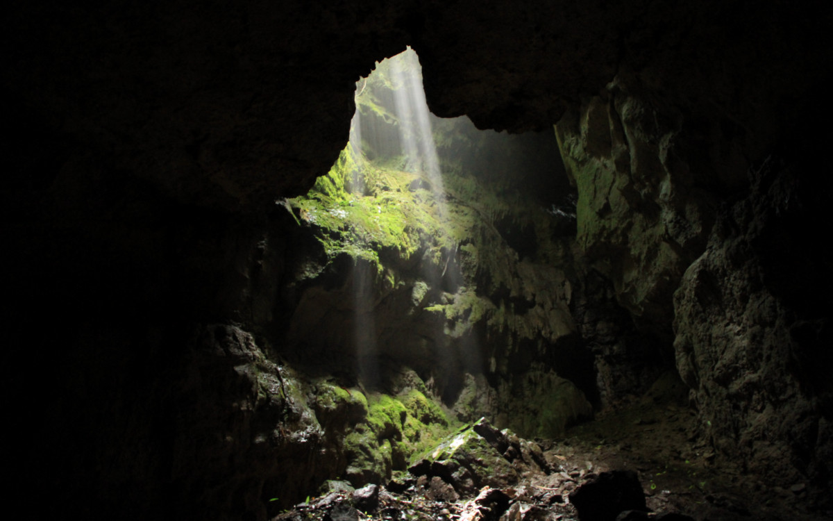 Cueva del Hoyo (Fotografía: Fundación Cerca Viva)