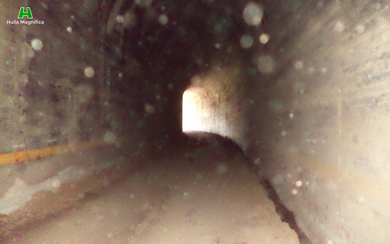 Túneles Golondrinas