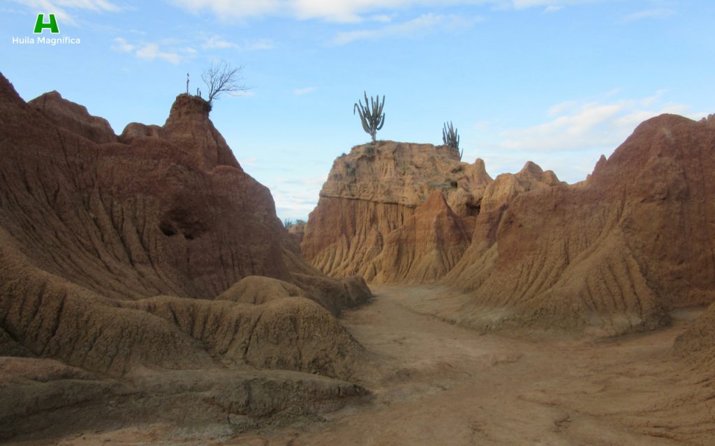 Desierto de la Tatacoa