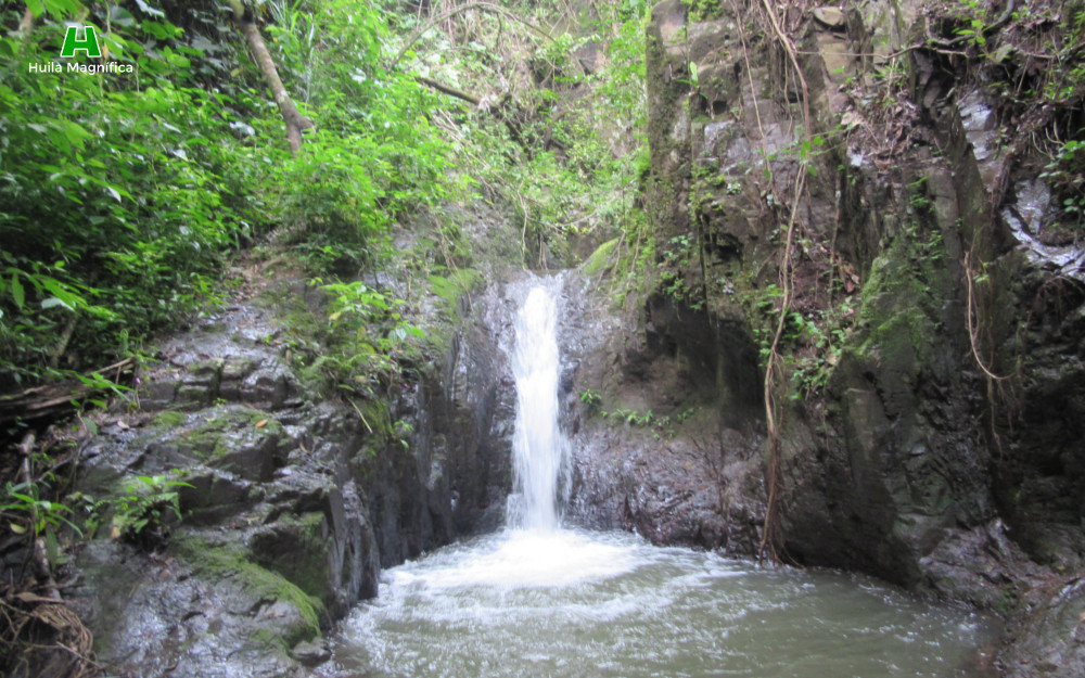 Cascada Yarumal