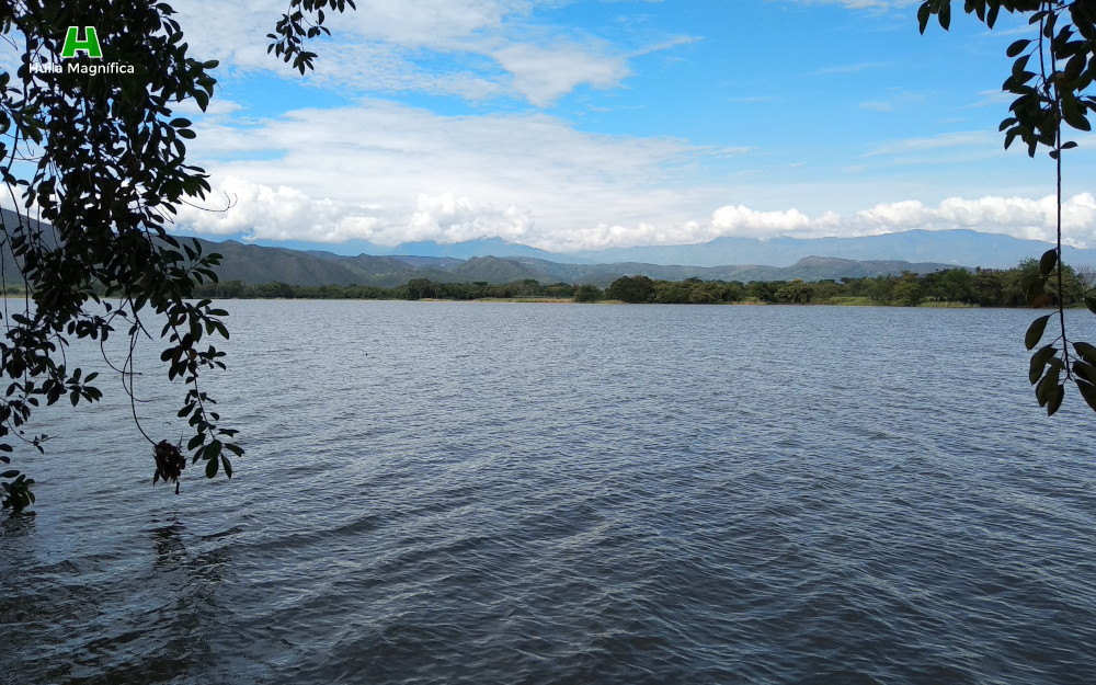 Laguna El Juncal
