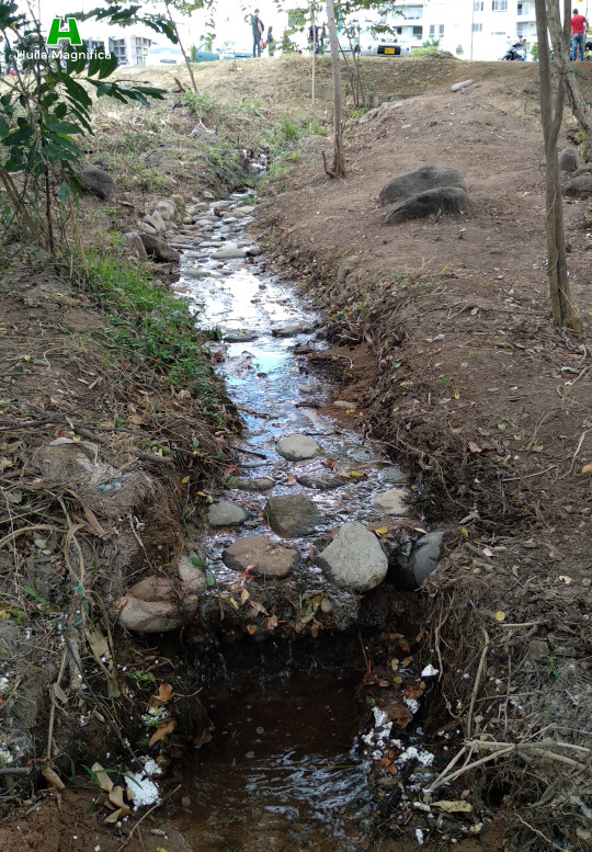 Alimentación hídrica superficial del Humedal
