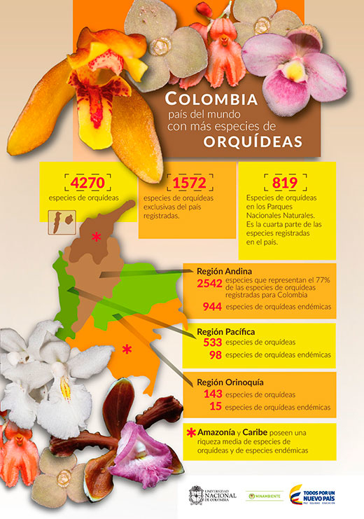 Colombia, país con mayor número de especies de orquídeas en el mundo - Red de desarrollo sostenible 2015