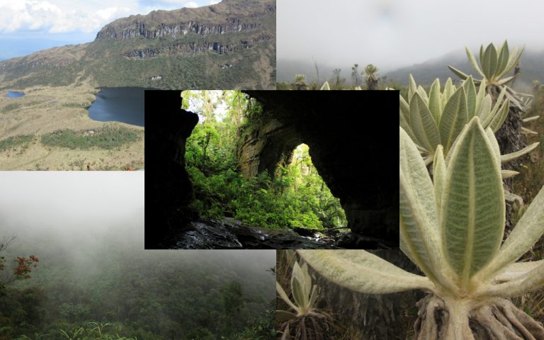 Los 6 Parques Nacionales Naturales en el Huila