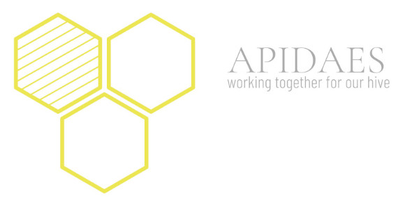 Logo APIDAES