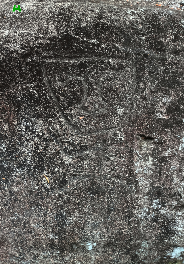 Petroglifos de El Estrecho del Río Magdalena