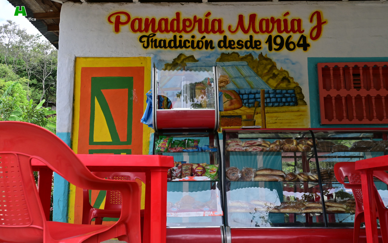 Las Cucas de San Antonio (Panadería María J - Tradición desde 1964)